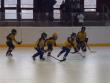 02.04.2011 Kobra Cup - 2. místo